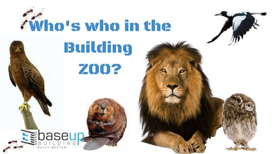 Who’s Who in the Building Zoo!